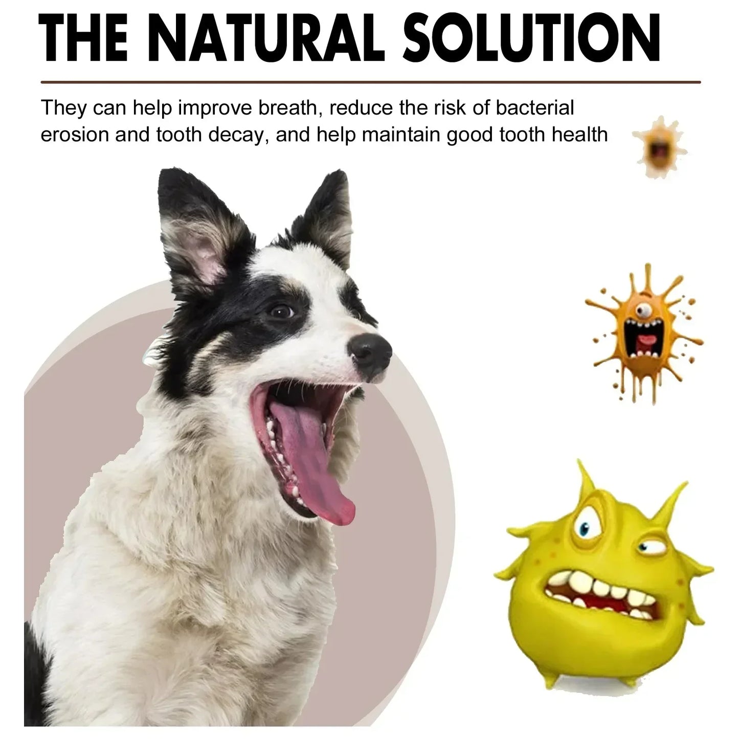Pet Grooming Care Dental Spray for Dogs & Cats - Bad...