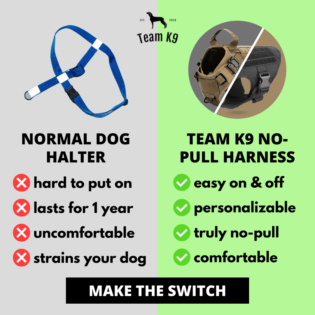 Tactical Dog Harness System All-In-One Training Bundle...