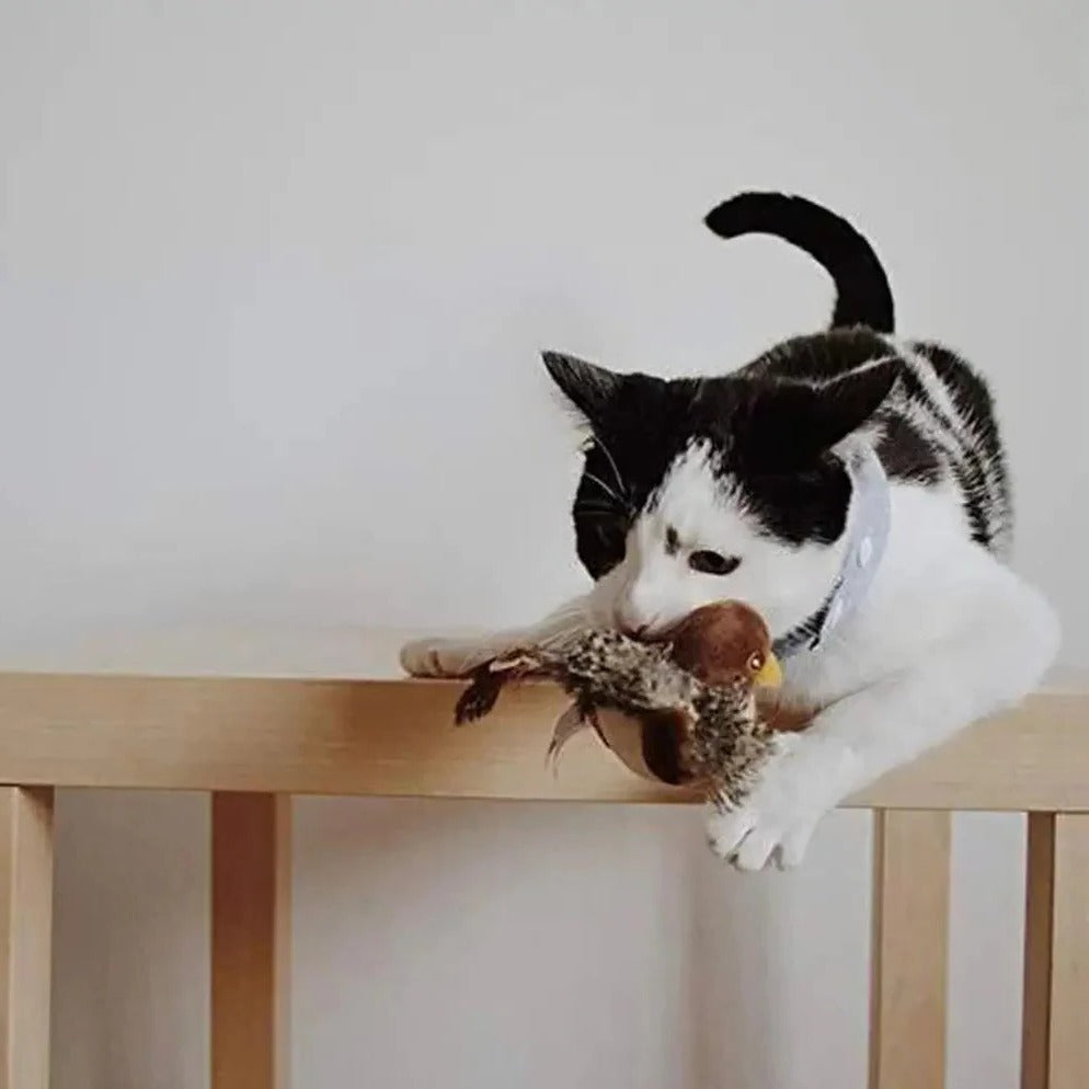 Interactive Sound Bird Cat Toy - Flapping Feather Fun for