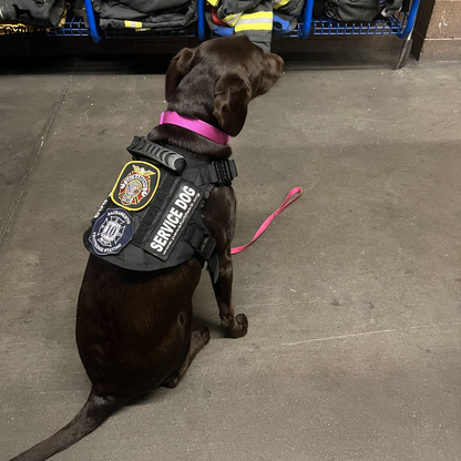 Tactical Dog Harness No-Pull With Front And Back D-Rings...