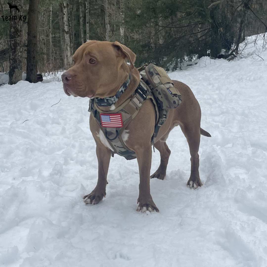 Tactical Dog Harness No-Pull With Front And Back D-Rings...