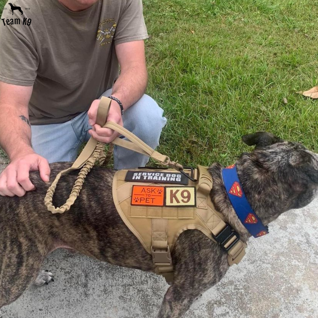 Tactical Dog Harness No-Pull With Front And Back D-Rings...