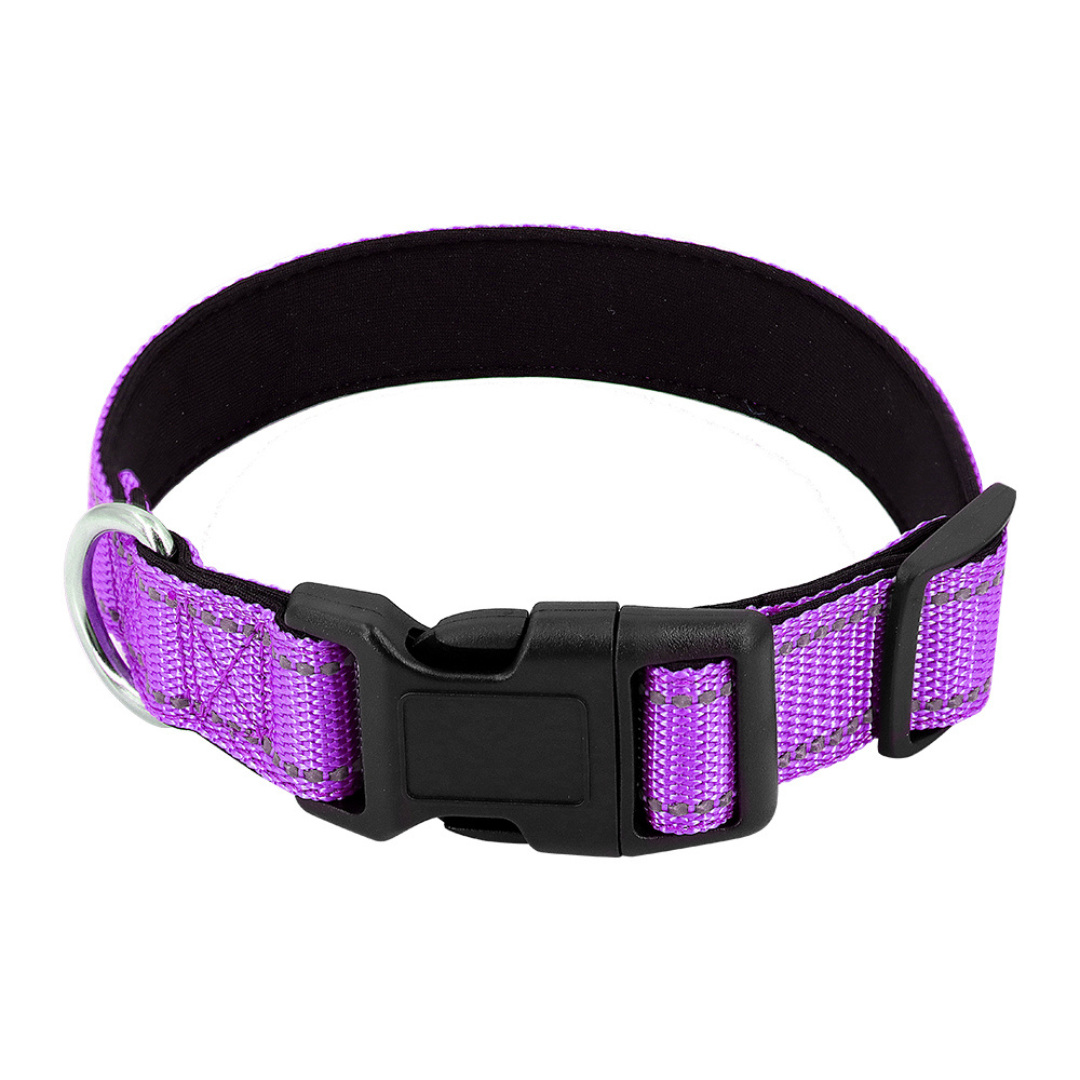 Reflective Dog Collar Quick-Lock Buckle - Safe Night...