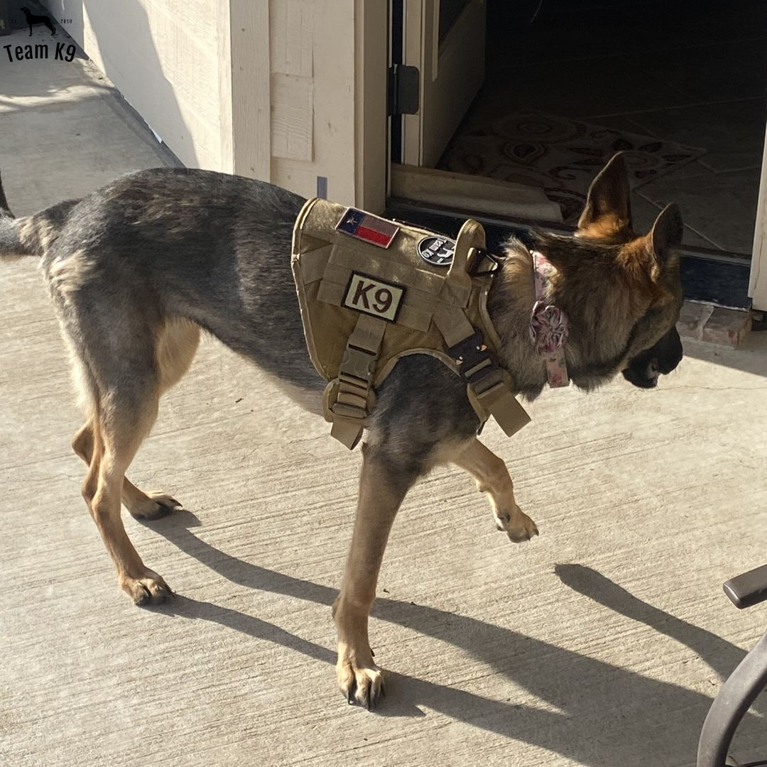 Tactical Dog Harness No-Pull With Front And Back D-Rings...