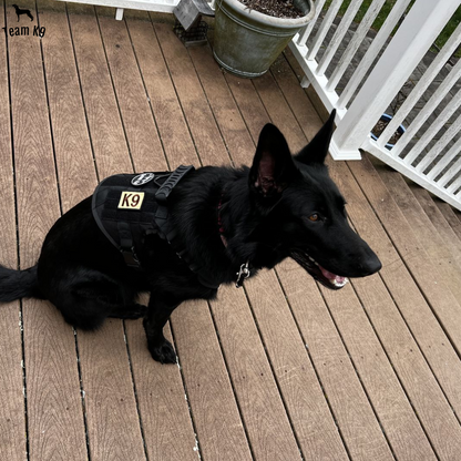 Tactical Dog Harness No-Pull With Front And Back D-Rings...