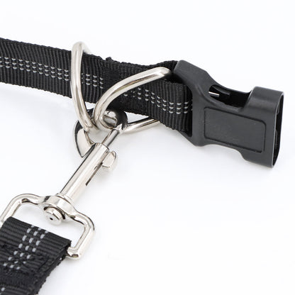 Dog Leash Double-Handle Hands-Free Bungee Reflective...