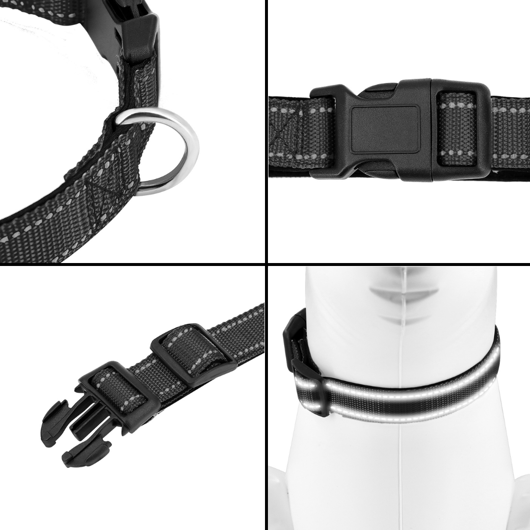 Reflective Dog Collar Quick-Lock Buckle - Safe Night...