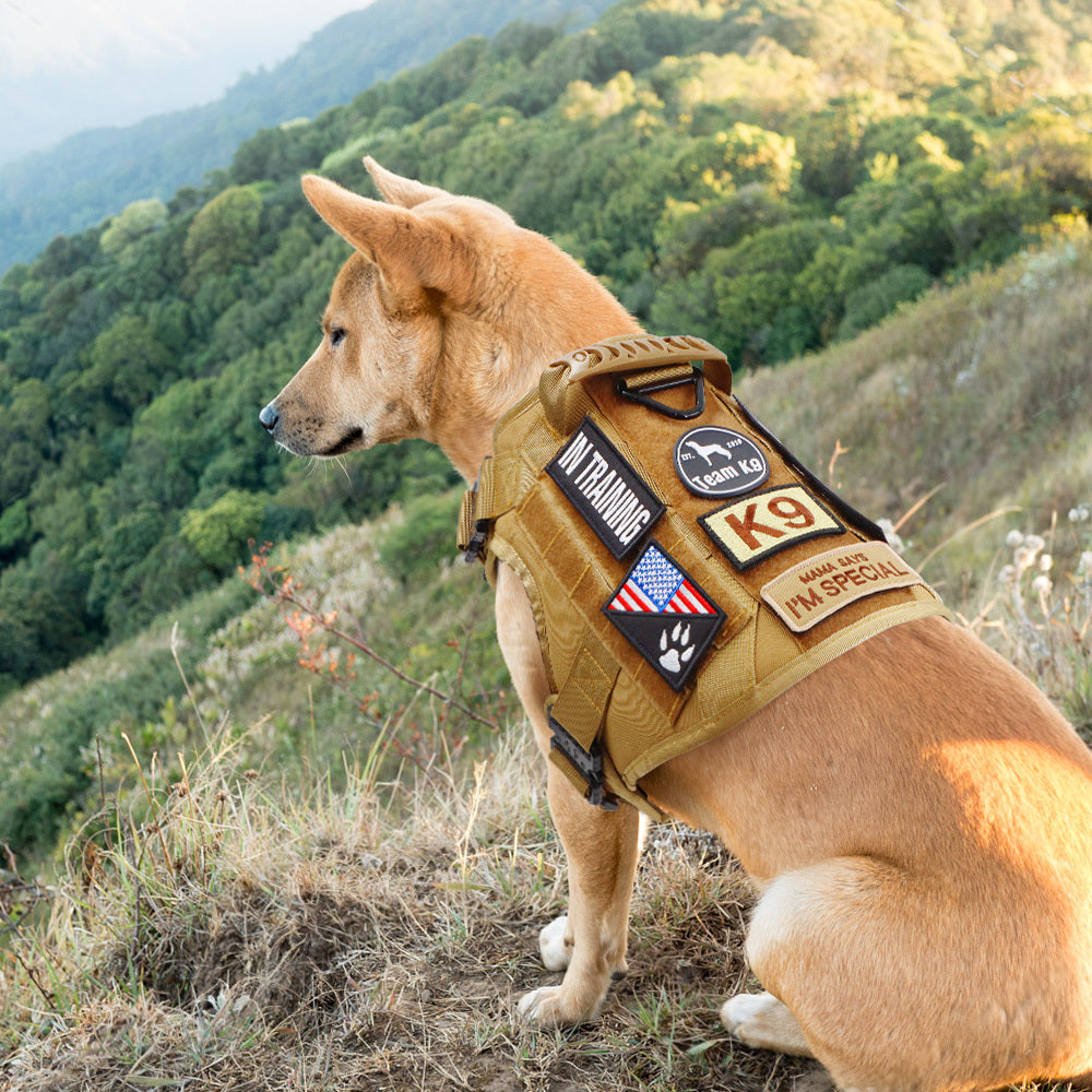 Tactical Dog Harness No-Pull With Front And Back D-Rings...