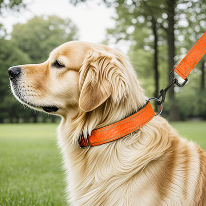 Reflective Dog Collar Quick-Lock Buckle - Safe Night...