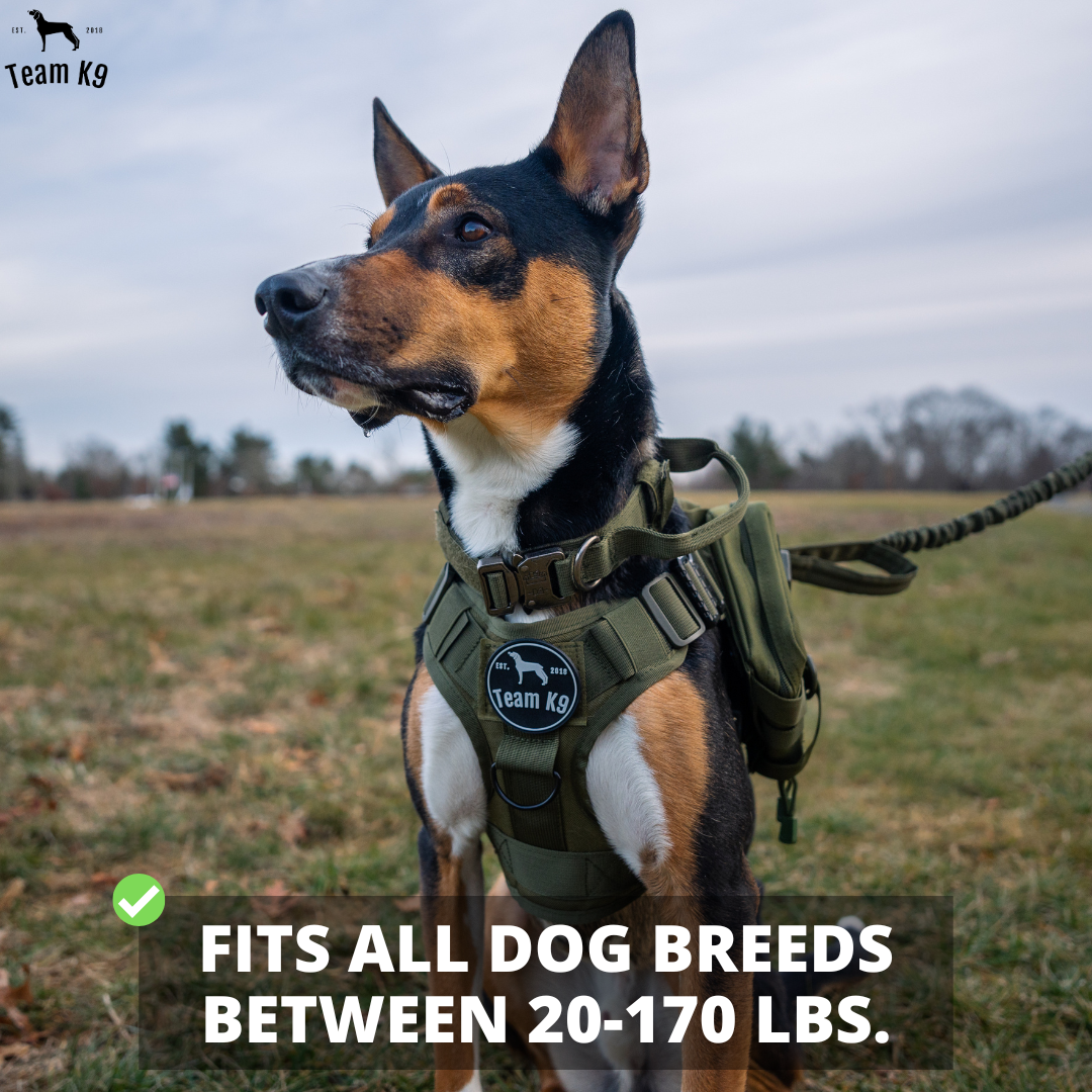 Tactical Dog Harness No-Pull With Front And Back D-Rings...