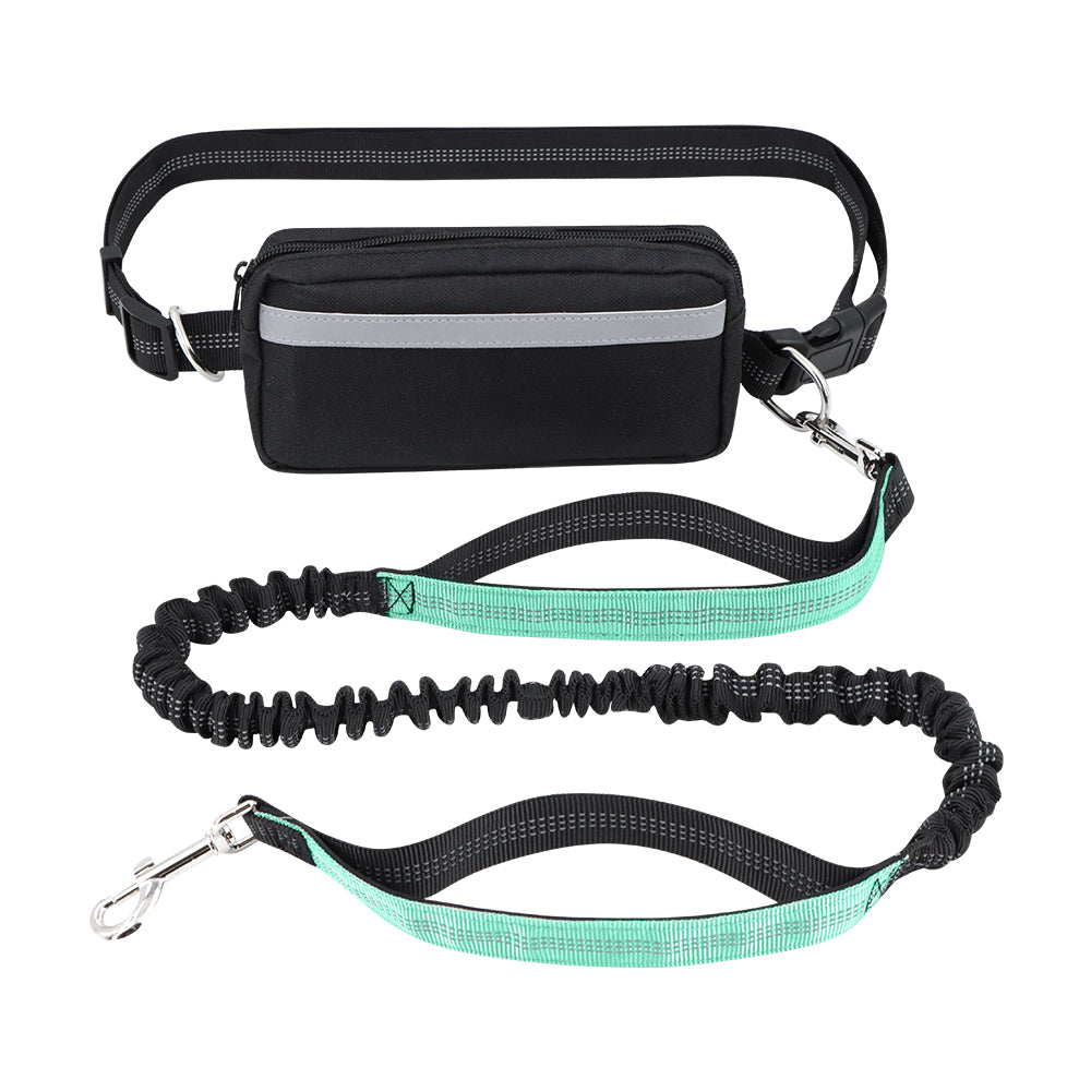 Dog Leash Double-Handle Hands-Free Bungee Reflective...