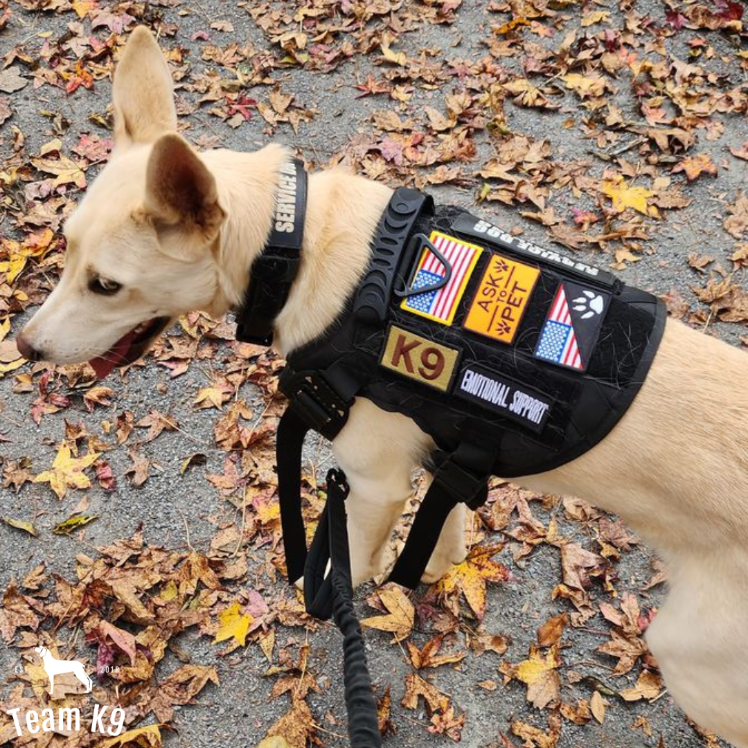 Tactical Dog Harness System All-In-One Training Bundle...