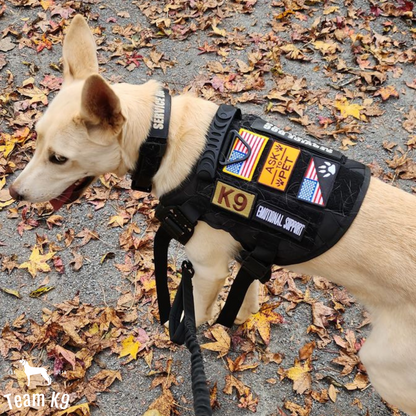 Tactical Dog Harness System All-In-One Training Bundle...