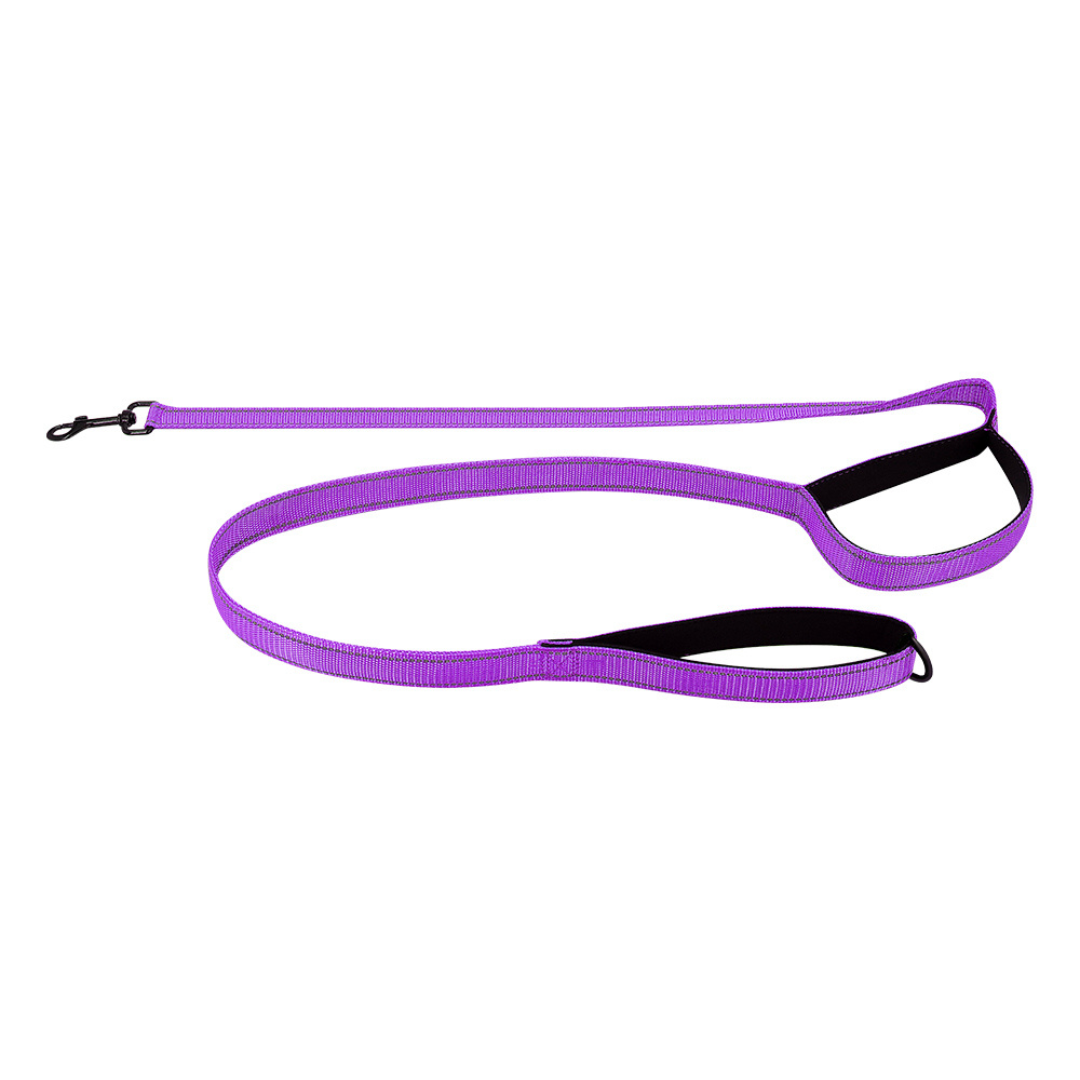 Reflective Dual-Handle Dog Leash – Traffic Handle...