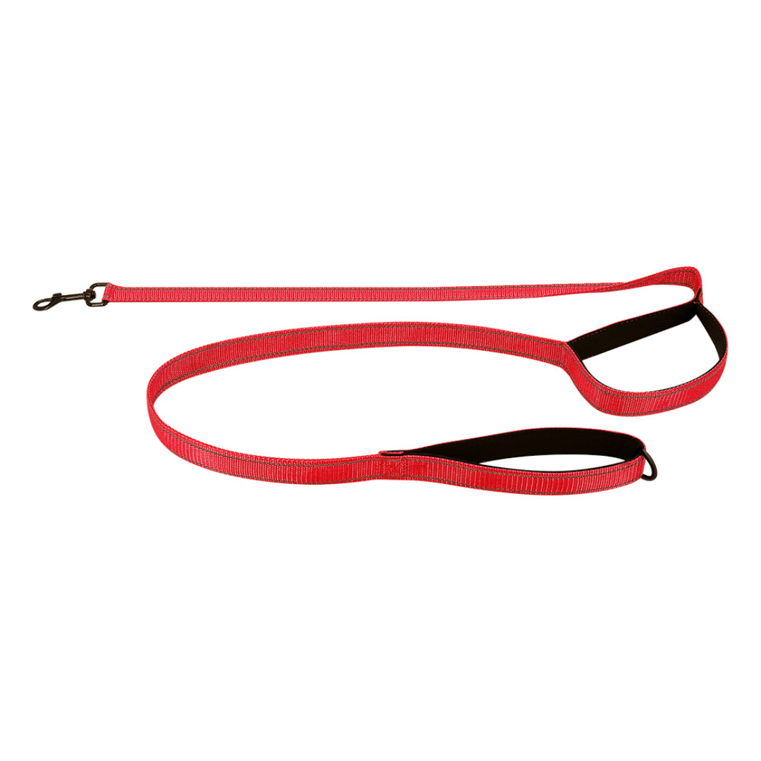 Reflective Dual-Handle Dog Leash – Traffic Handle...