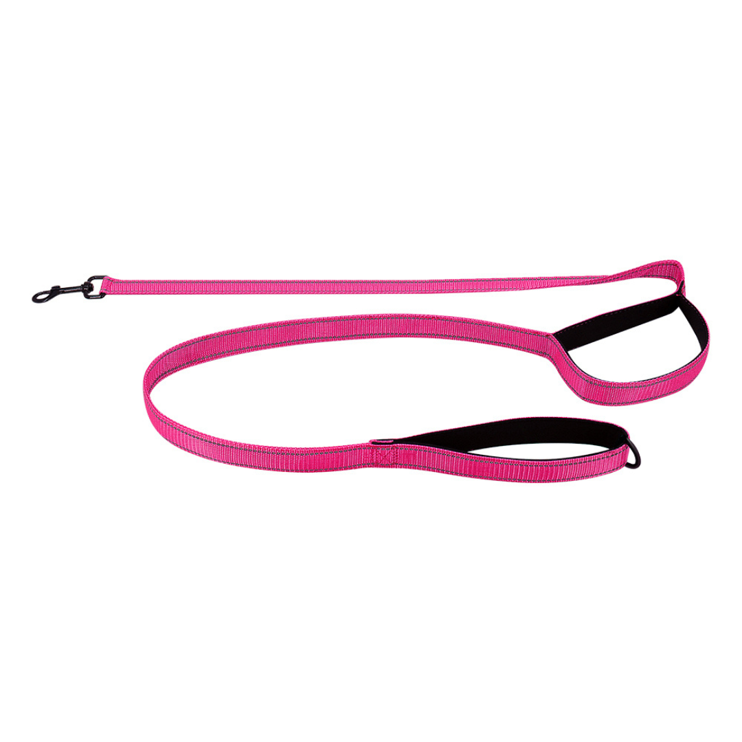 Reflective Dual-Handle Dog Leash – Traffic Handle...