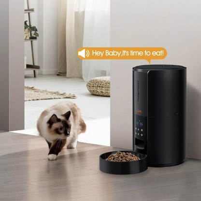 Exclusive Large Automatic Dog Cat Time Pet Food Feeder