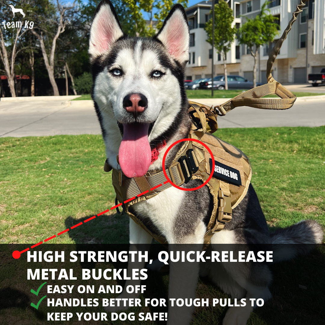 Tactical Dog Harness System All-In-One Training Bundle...