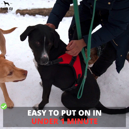 Dog Harness No-Choke Adjustable Safety Harness Trend...