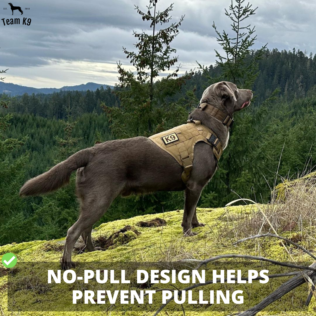 Tactical Dog Harness No-Pull With Front And Back D-Rings...