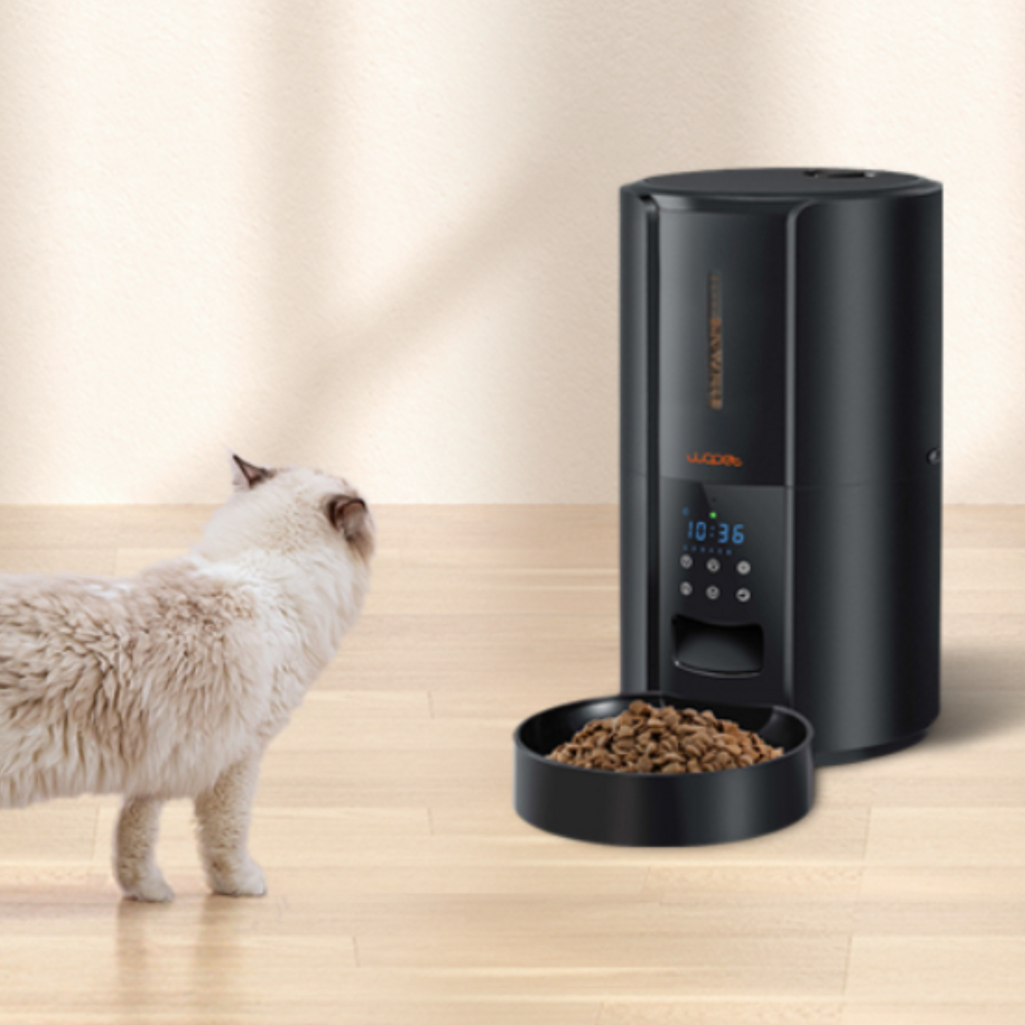Exclusive Large Automatic Dog Cat Time Pet Food Feeder