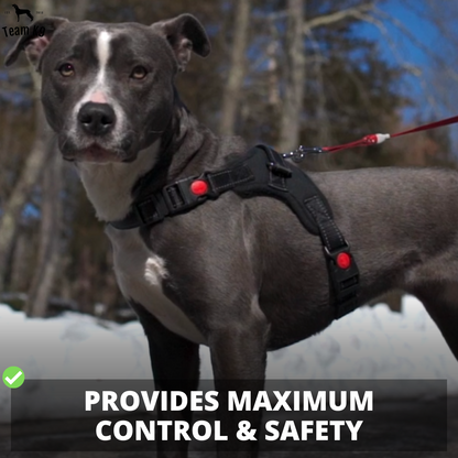 Dog Harness No-Choke Adjustable Safety Harness Trend...
