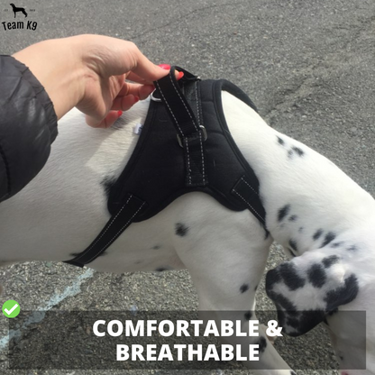 Dog Harness No-Choke Adjustable Safety Harness Trend...