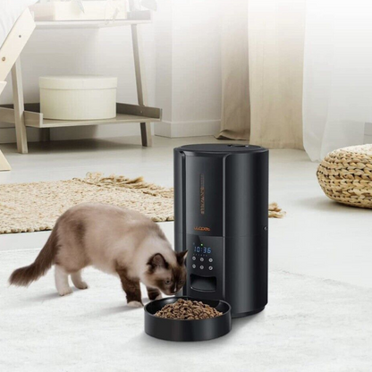 Exclusive Large Automatic Dog Cat Time Pet Food Feeder