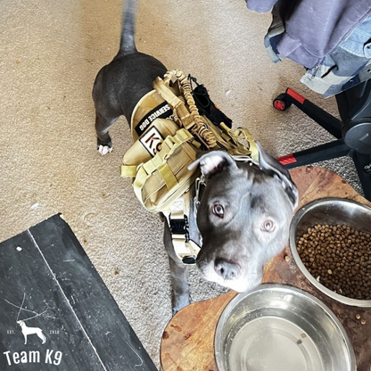 Tactical Dog Harness System All-In-One Training Bundle...