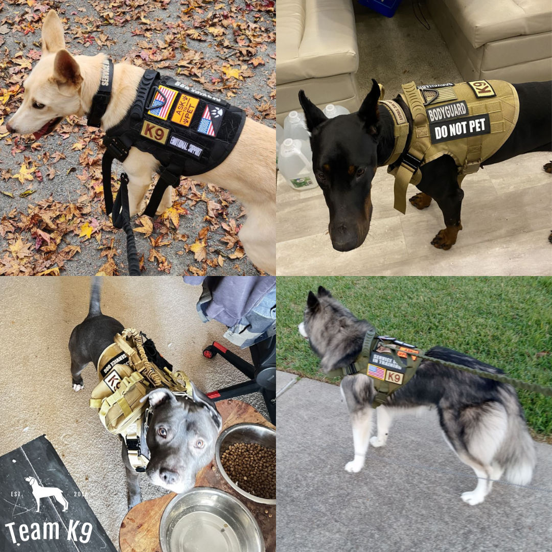 Tactical Dog Harness No-Pull With Front And Back D-Rings...