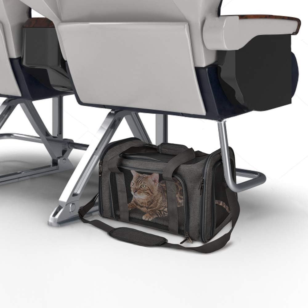 Dog Bag Carrier For Small Medium Cats Dogs Puppies Up To 15