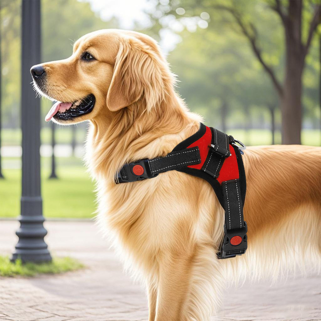Dog Harness No-Choke Adjustable Safety Harness Trend...