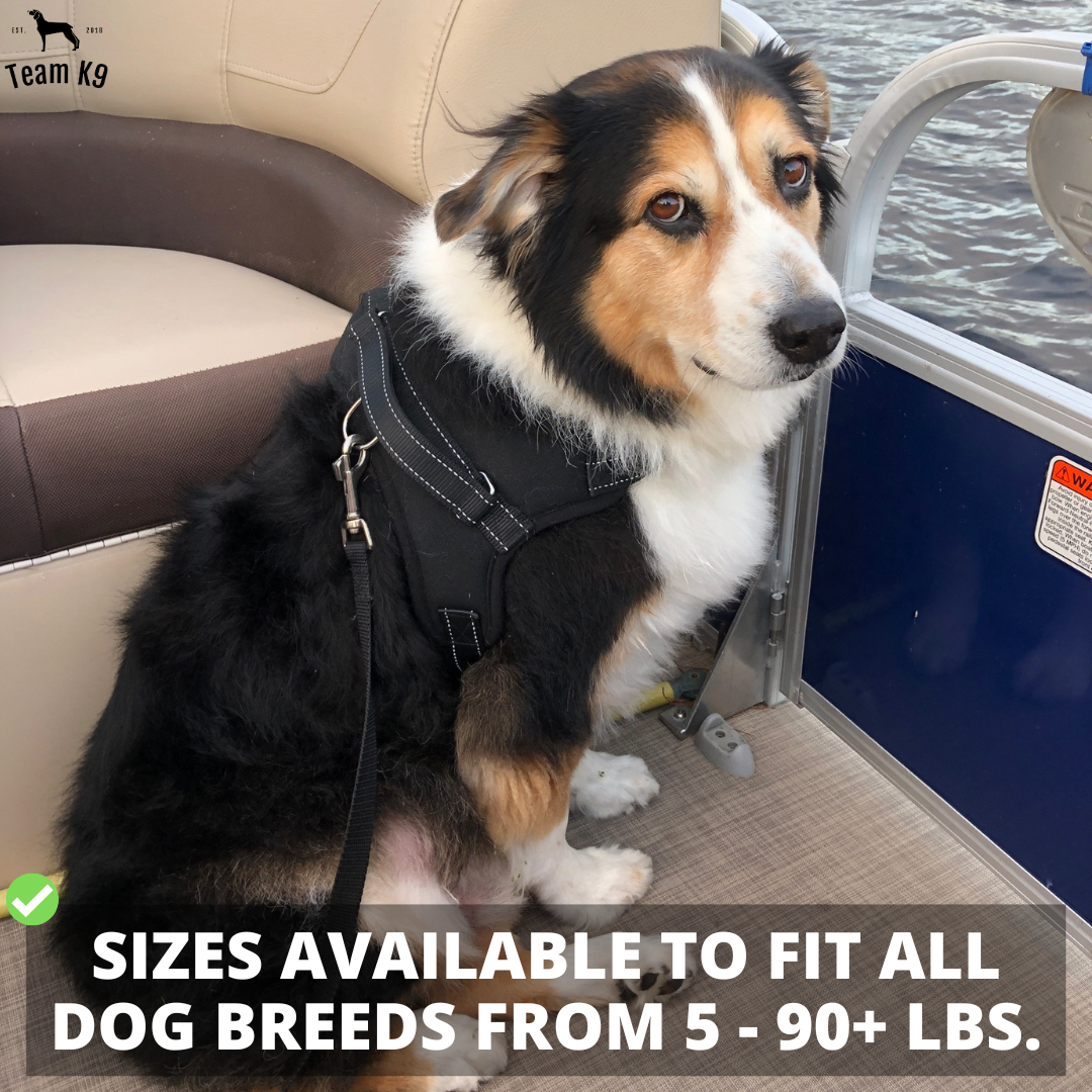 Dog Harness No-Choke Adjustable Safety Harness Trend...