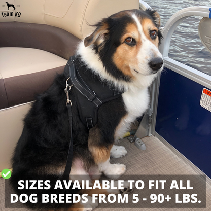 Dog Harness No-Choke Adjustable Safety Harness Trend...