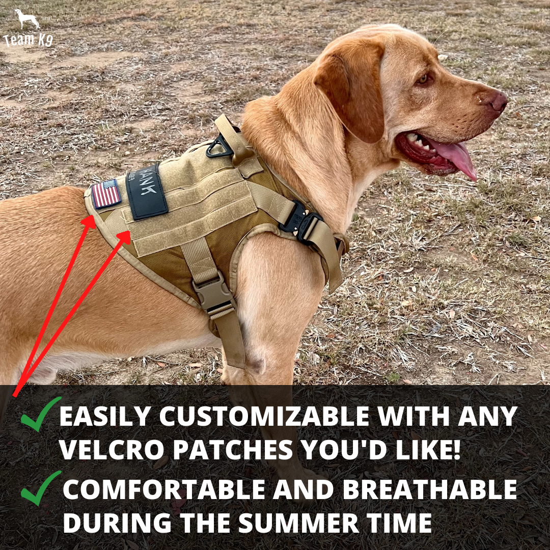 Tactical Dog Harness System All-In-One Training Bundle...