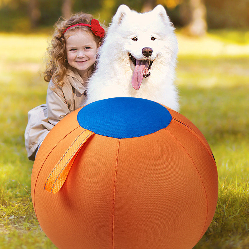 Inflatable Dog Herding Ball – Durable Outdoor Push & Chase Exercise Toy