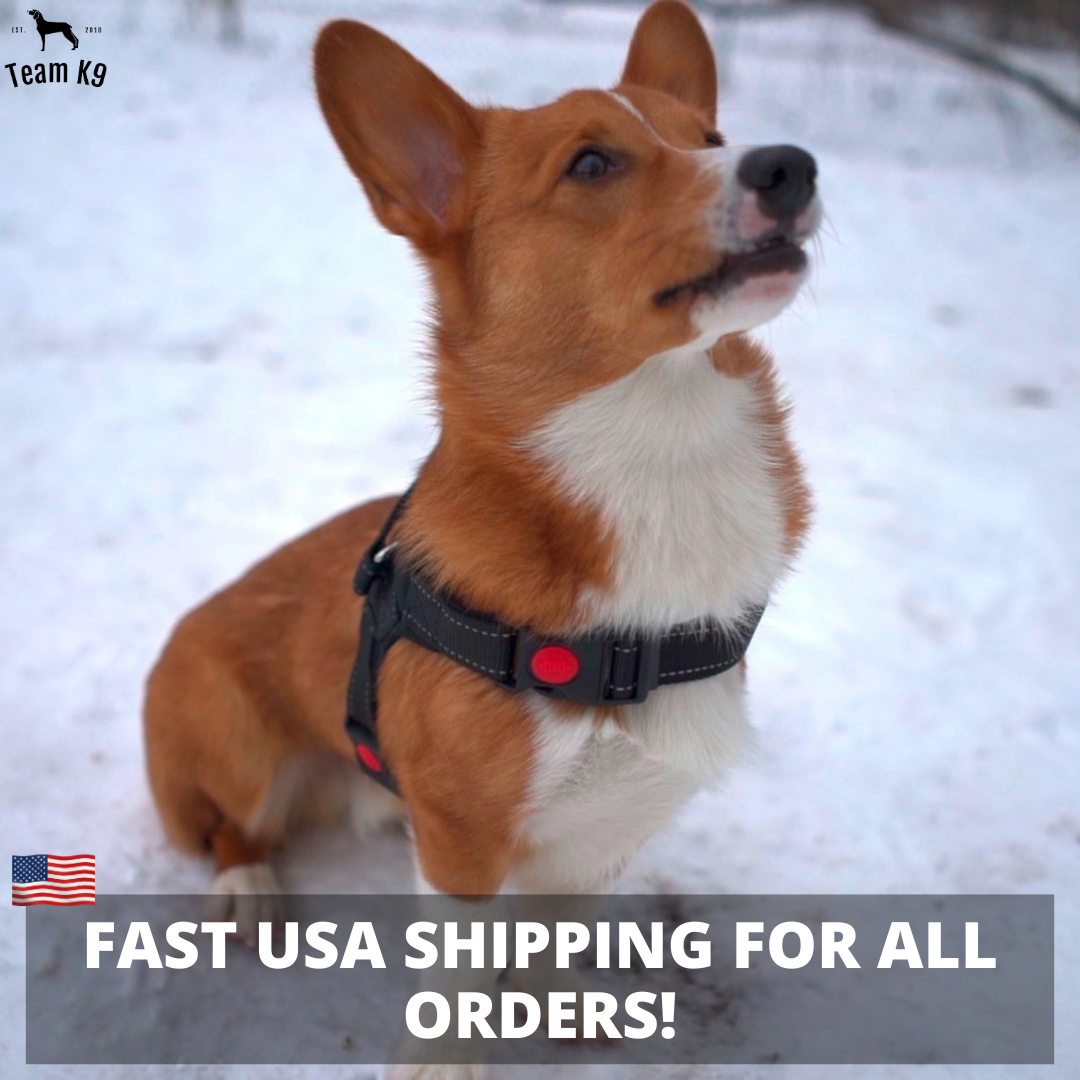 Dog Harness No-Choke Adjustable Safety Harness Trend...