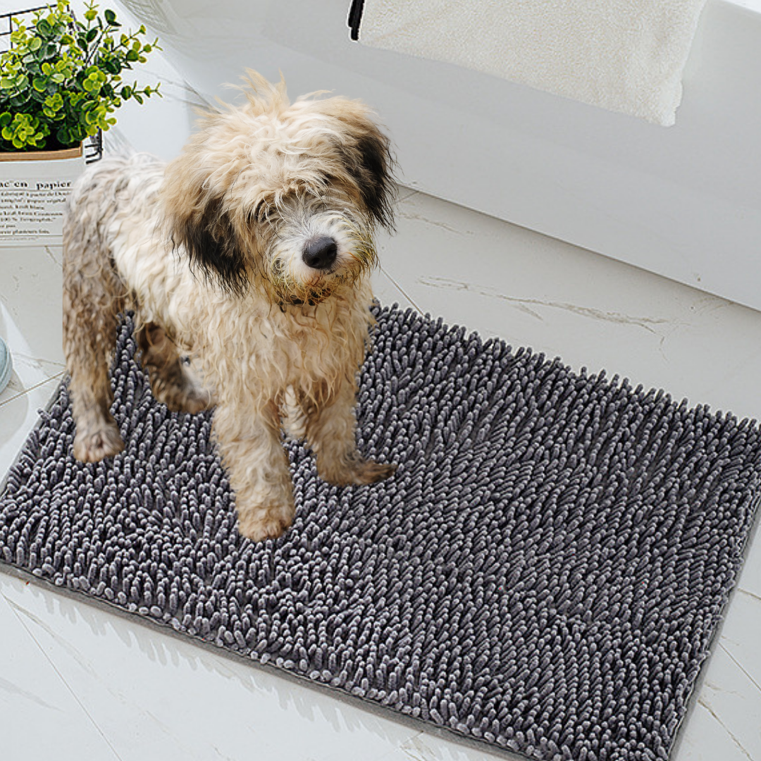 Paw-Drying Floor Mat With Superabsorbent Quick-Dry...