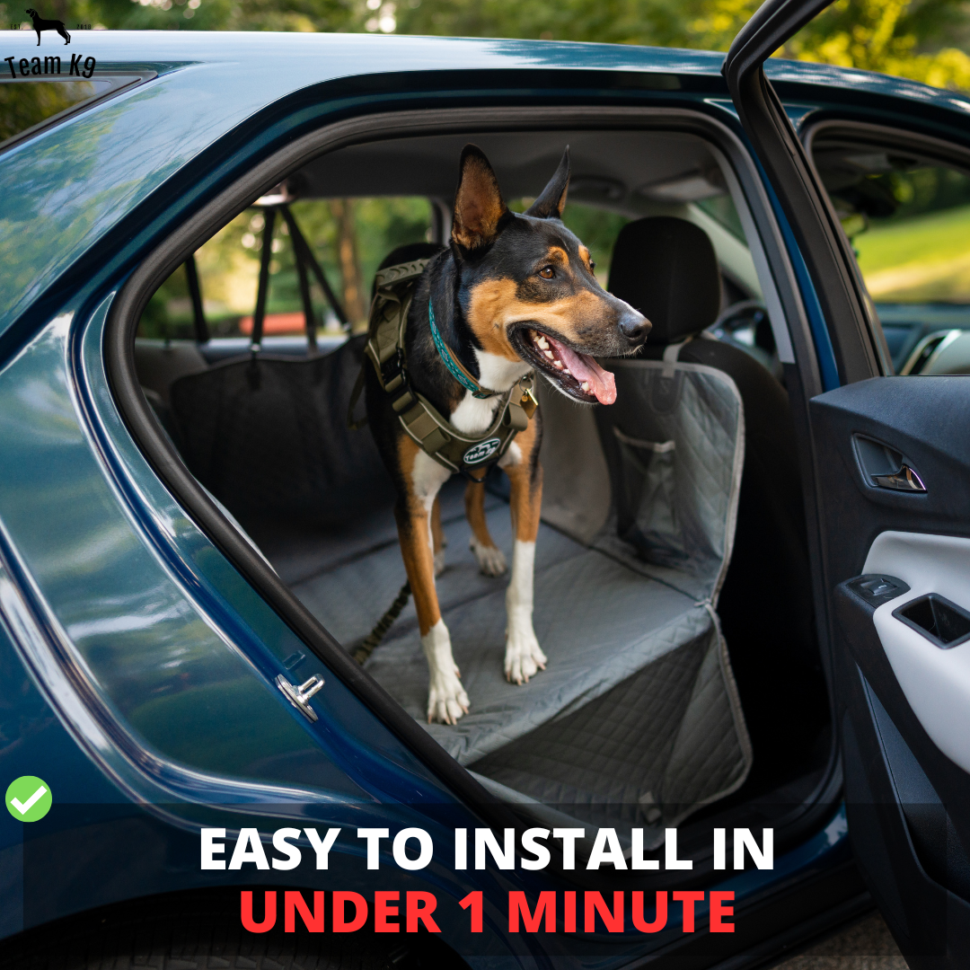 Car Seat Cover Hammock Waterproof Protector With Storage...