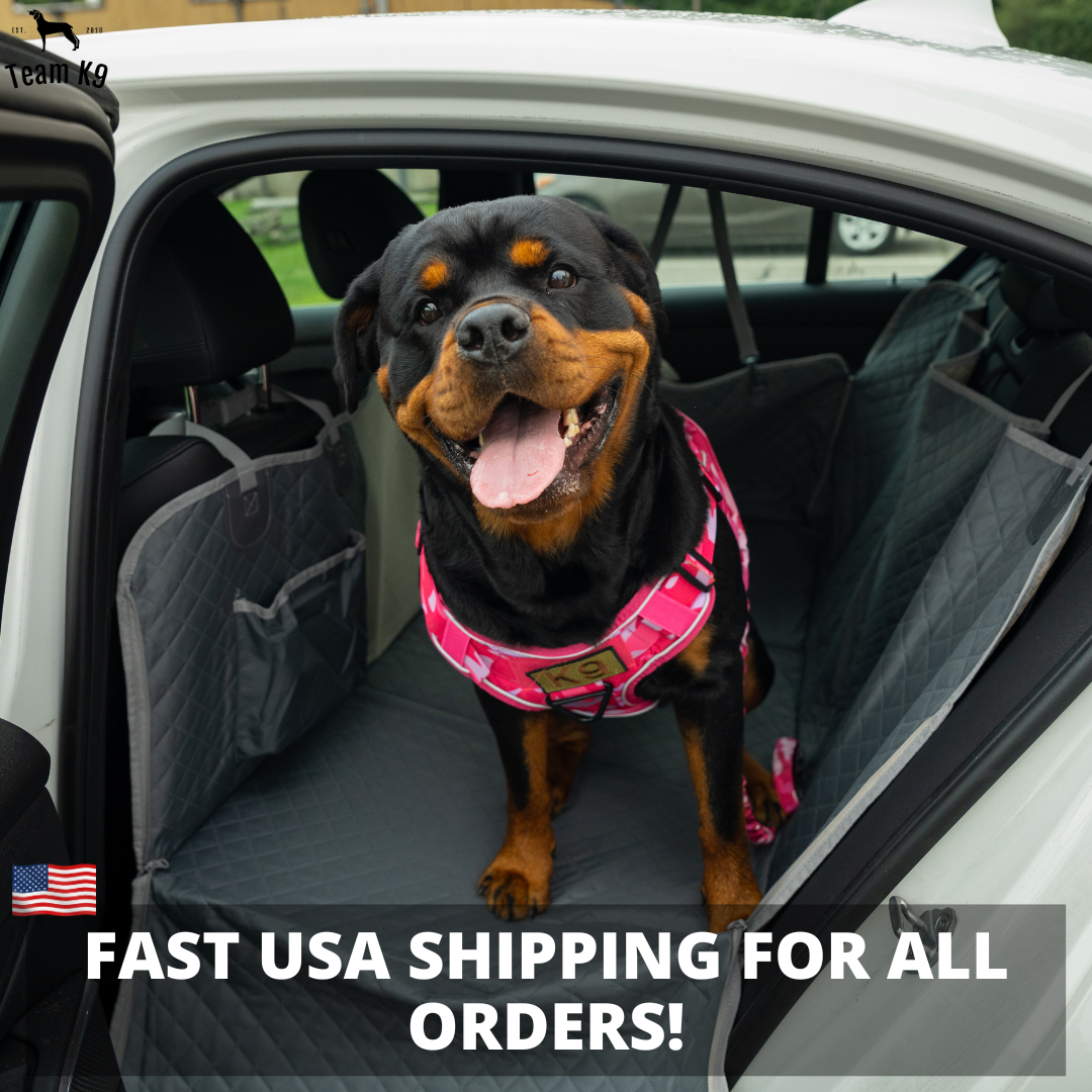 Car Seat Cover Hammock Waterproof Protector With Storage...