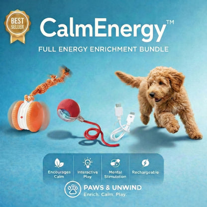 CalmEnergy™ Starter System — High-Energy Enrichment System