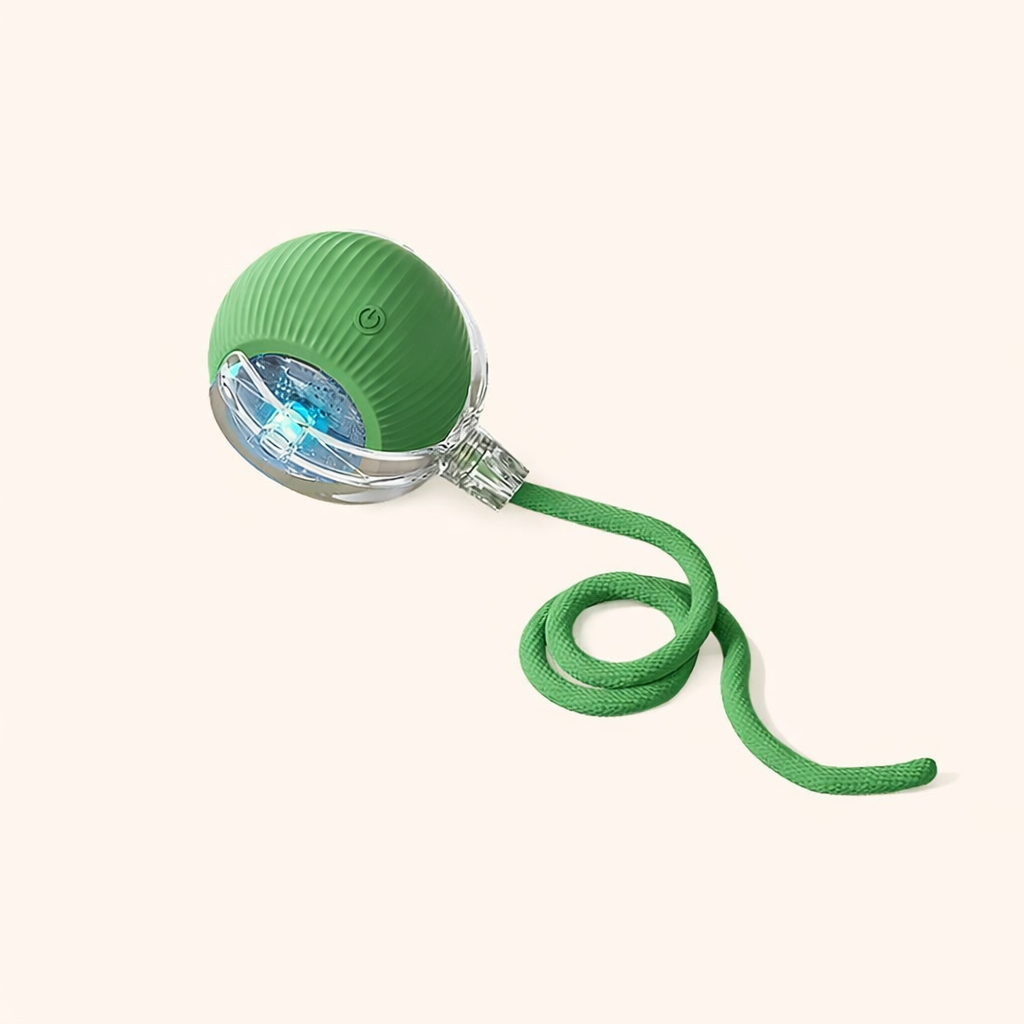 CalmEnergy™ Starter System — High-Energy Enrichment System