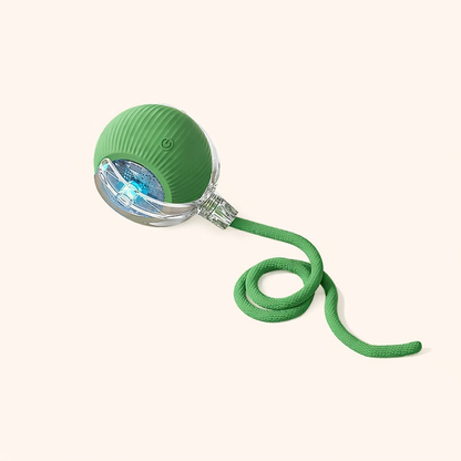 CalmEnergy™ Starter System — High-Energy Enrichment System