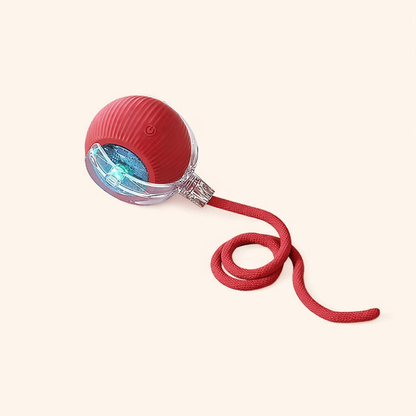 CalmEnergy™ Starter System — High-Energy Enrichment System