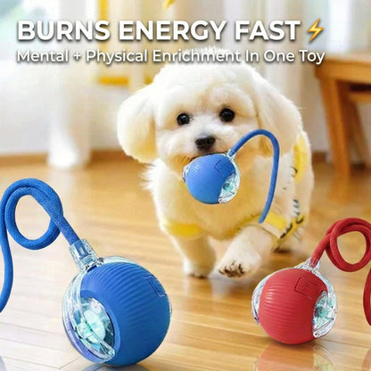 CalmEnergy™ Starter System — High-Energy Enrichment System