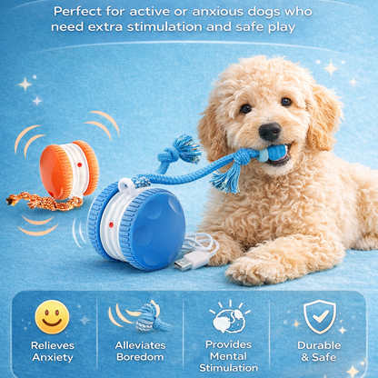 CalmEnergy™ Starter System — High-Energy Enrichment System