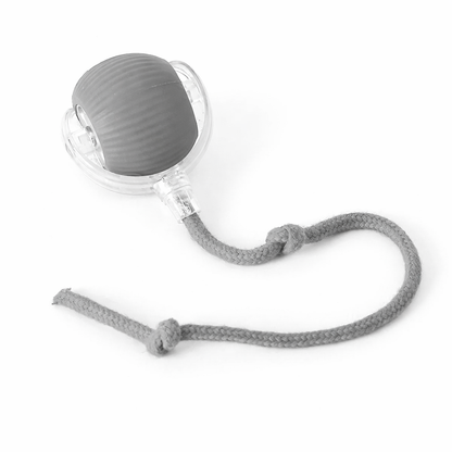 CalmEnergy™ Interactive Chase Ball