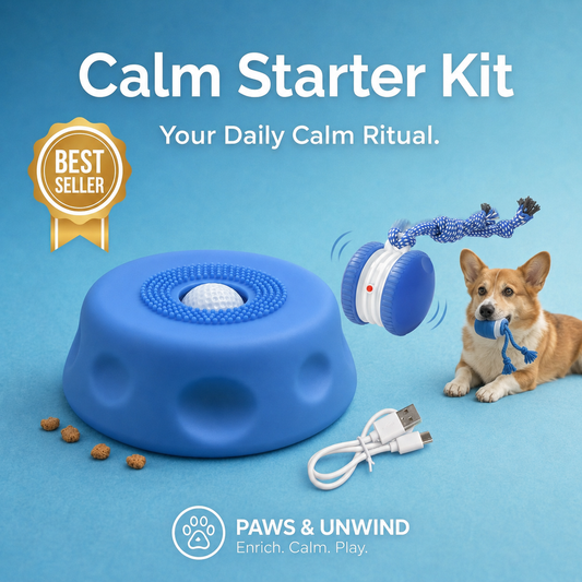 Starter Calm Kit™ — Turn Chaos Into Calm Daily