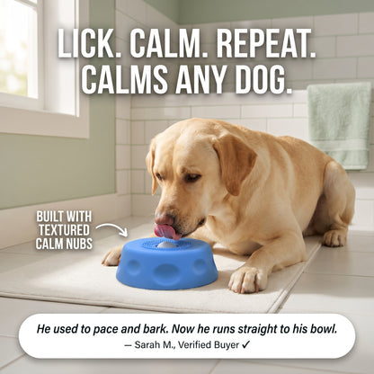 Dog Lick Bowl for Enrichment & Anxiety Relief – CalmCore™