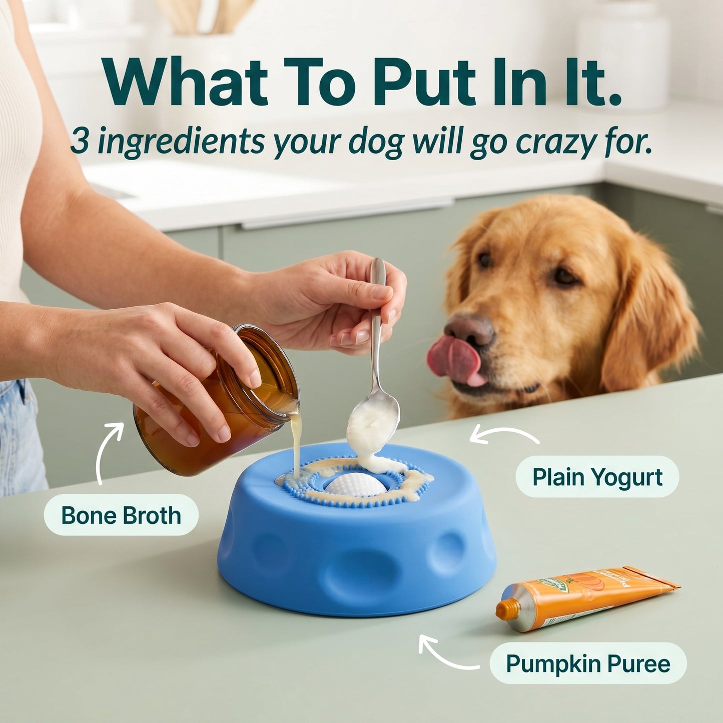 Dog Lick Bowl for Enrichment & Anxiety Relief – CalmCore™